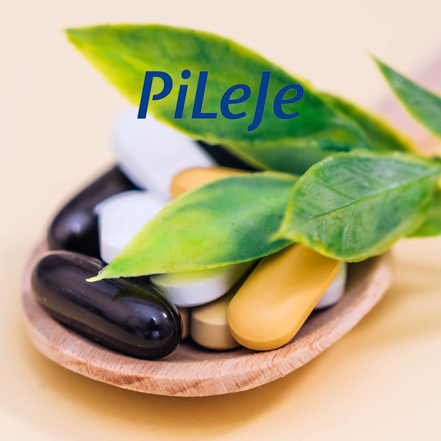 Pileje, Pharmacie des Oiseaux de Mer, Lagord, Nieul-Sur-Mer, Marsilly